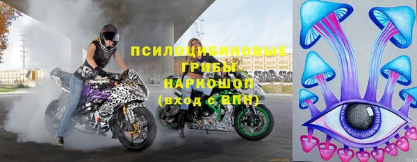 ГАЛЛЮЦИНОГЕННЫЕ ГРИБЫ Осташков